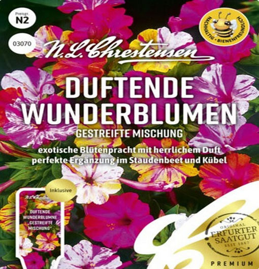 Dziwaczek jalapa paskowany, Mirabilis jalapa - mieszanka w paski