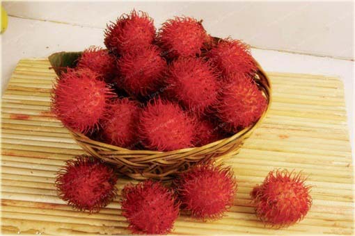 Jagodzian rambutan
