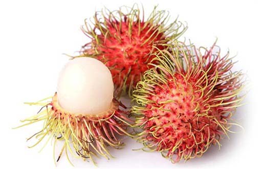 Jagodzian rambutan