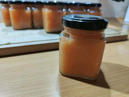 Pigwa gruszkowa drzewo Cydonia oblonga