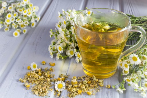 Nasiona Rumianek leczniczy Matricari, Matricaria chamomilla