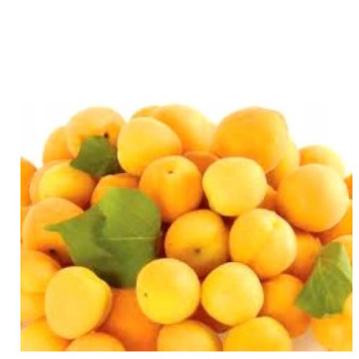 Nasiona śliwka mirabelka żółta, Prunus domestica subsp. syriaca