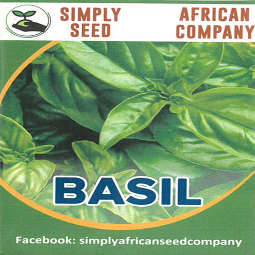 Bazylia jadalna Basil, Ocimum