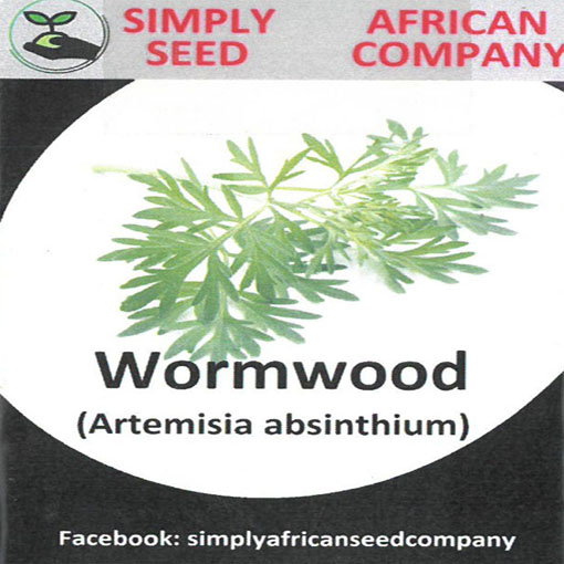 Bylica piołun, Artemisia absinthium Wormwood