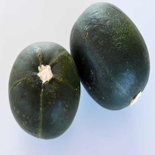 Dynia Gem squash zielona, Cucurbita pepo green