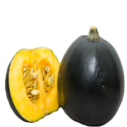 Dynia Gem squash zielona, Cucurbita pepo green