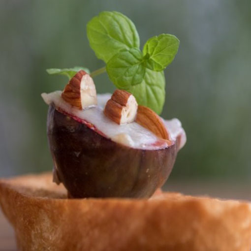 Figa Red Fig figowiec, Ficus carica