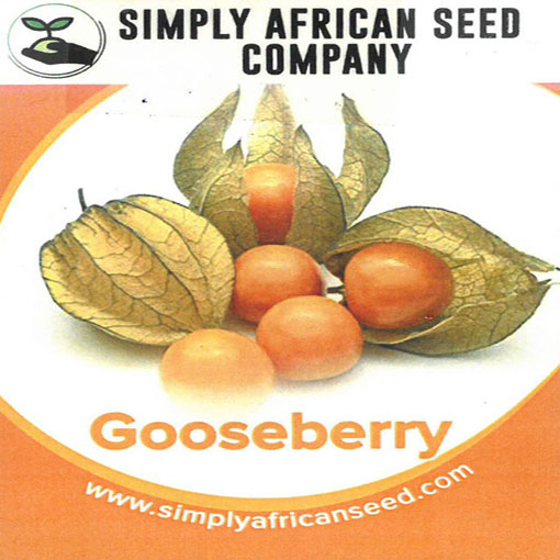 Miechunka peruwiańska gooseberry,Physalis peruviana