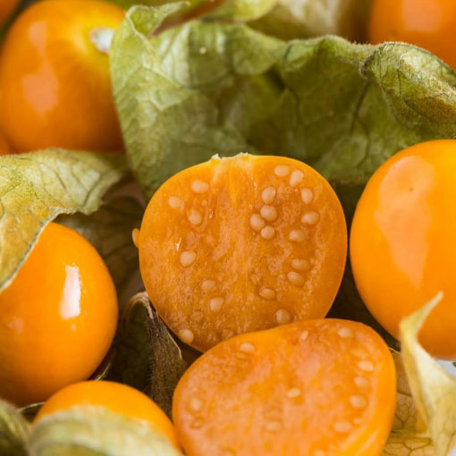 Miechunka peruwiańska gooseberry,Physalis peruviana