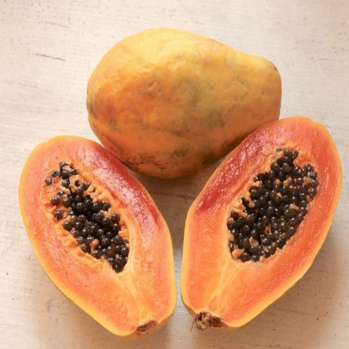 apaya Melonowiec żółty, Carica papaya