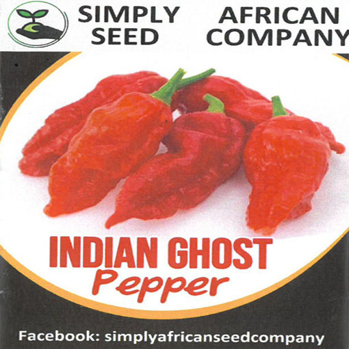 Papryka Indian Ghost ostra, Capsicum, pieprzowiec