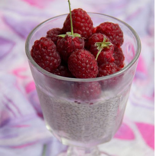 Szałwia hiszpańska Chia, Salvia hispanica Chia